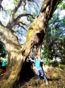 Thumbnail of pic_Anissa_Yip_003.jpg