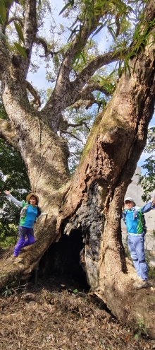 Thumbnail of pic_Derek_Wong_007.jpg