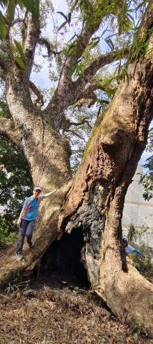 Thumbnail of pic_Derek_Wong_009.jpg