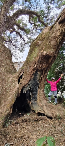 Thumbnail of pic_Derek_Wong_016.jpg