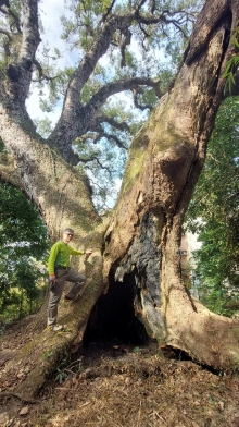 Thumbnail of pic_Esther_Chuk_006.jpg