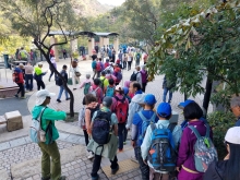 Thumbnail of P2190046.jpg