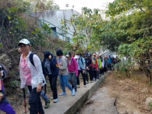 Thumbnail of P2190050.jpg