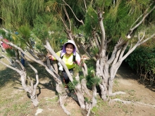 Thumbnail of P2190090.jpg