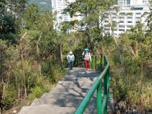 Thumbnail of P2190096.jpg