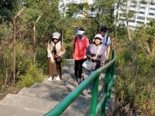 Thumbnail of P2190112.jpg