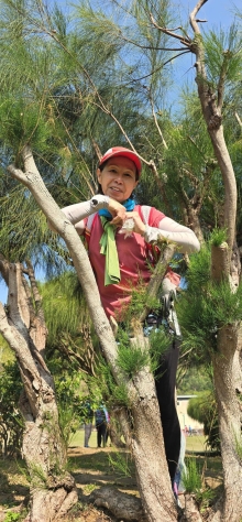 Thumbnail of pic_CW_Ho_044.jpg