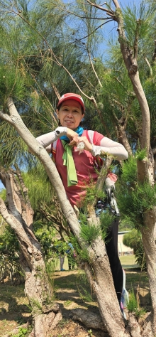 Thumbnail of pic_CW_Ho_045.jpg