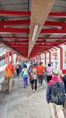 Thumbnail of pic_KL_Sin_004.jpg