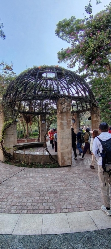 Thumbnail of pic_Wong_016.jpg