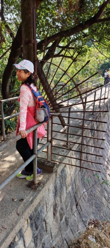 Thumbnail of pic_Wong_040.jpg