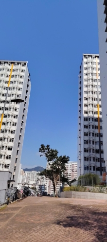 Thumbnail of pic_Wong_060.jpg