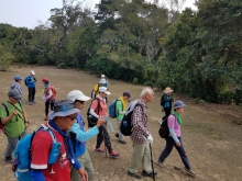 P222036.jpg (447197 bytes)