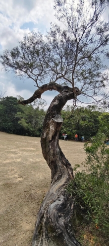 Thumbnail of pic_Derek_Wong_020.jpg