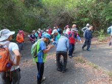 Thumbnail of pic_Sun_Chow_007.JPG