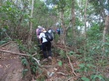 Thumbnail of pic_Sun_Chow_010.JPG