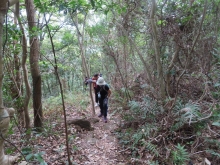 Thumbnail of pic_Sun_Chow_011.JPG