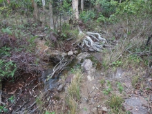 Thumbnail of pic_Sun_Chow_026.JPG