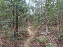 Thumbnail of pic_Sun_Chow_033.JPG