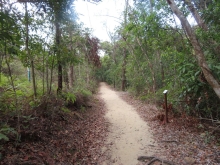 Thumbnail of pic_Sun_Chow_035.JPG