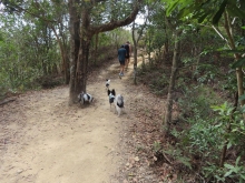 Thumbnail of pic_Sun_Chow_062.JPG