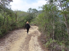 Thumbnail of pic_Sun_Chow_065.JPG