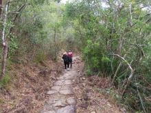 Thumbnail of pic_Sun_Chow_076.JPG