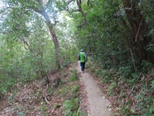 Thumbnail of pic_Sun_Chow_082.JPG