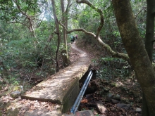 Thumbnail of pic_Sun_Chow_083.JPG