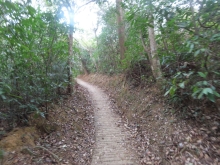 Thumbnail of pic_Sun_Chow_088.JPG