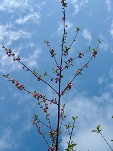 Thumbnail of pic_Winnie_Chung_002.JPG