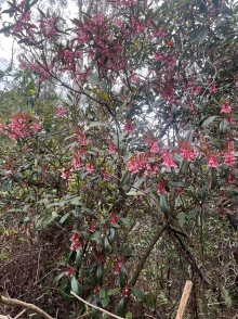 Thumbnail of pic_Winnie_Chung_018.JPG