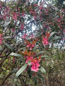 Thumbnail of pic_Winnie_Chung_020.JPG