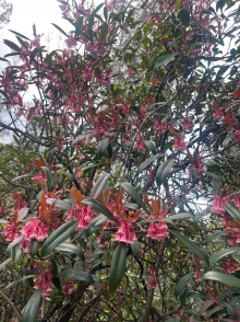 Thumbnail of pic_Winnie_Chung_021.JPG