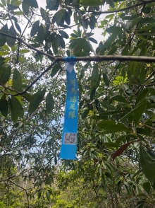 Thumbnail of pic_Winnie_Chung_022.JPG