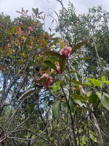 Thumbnail of pic_Winnie_Chung_023.JPG