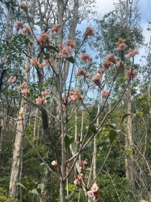 Thumbnail of pic_Winnie_Chung_024.JPG