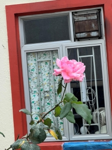 Thumbnail of pic_Winnie_Chung_010.JPG