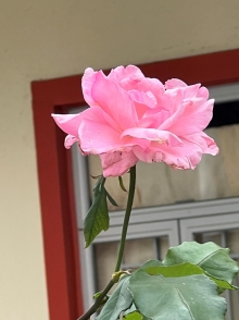 Thumbnail of pic_Winnie_Chung_011.JPG