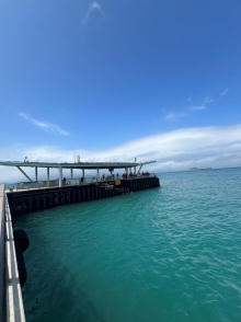 Thumbnail of pic_Winnie_Chung_056.JPG