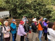 20260305_075.JPG (709715 bytes)