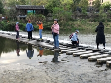 20260305_192.JPG (598990 bytes)