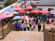 20260306_010.JPG (516115 bytes)