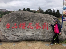 20260306_024.JPG (648347 bytes)