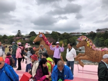 20260306_036.JPG (405976 bytes)