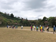 20260306_040.JPG (337934 bytes)