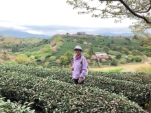 20260306_044.JPG (688427 bytes)