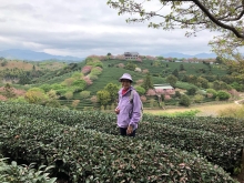 20260306_045.JPG (734012 bytes)