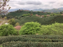 20260306_056.JPG (714825 bytes)