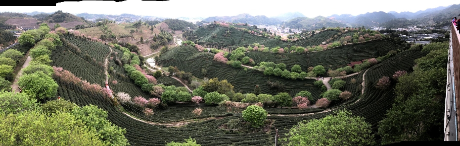 20260306_059-2.JPG (691788 bytes)